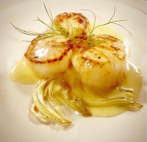 Seared scallops with shaved fennel